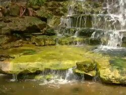 HD 1080i Waterfall with Moss 2 Stock Footage