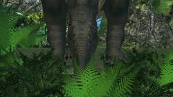 Tyrannosaurus rex bite stronger than previously thought Instructional Video