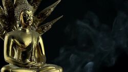 Buddha Statue Stock Footage