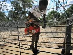 John Moore Photo Journal South Africa Part 1 Stock Footage