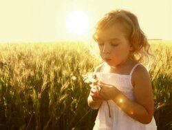 Little girl blows plant seeds Stock Footage