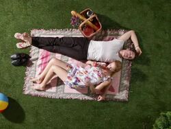 MS, Lockdown, couple enjoying a day in the park, overhead view Stock Footage