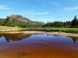 Acadia National Park Stock Footage