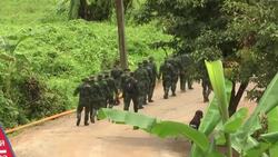 Ambulances arrive at scene of rescue effort News Clip