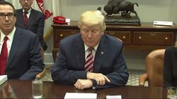 Trump pushing tax overhaul ahead of Asia trip News Clip