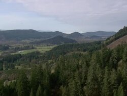 WS AERIAL View of forest in mountain / Oregon, United States Stock Footage