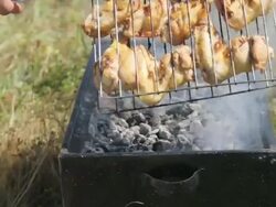 Barbecue Stock Footage