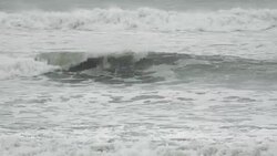 Ocean Wave Stock Footage