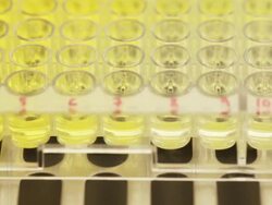 Scientist and bio lab experiment Stock Footage