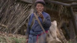 A Tibetan woman smokes a pipe as she walks past a derelict farm building. Stock Footage
