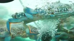 Crab in a Fish Market Stock Footage