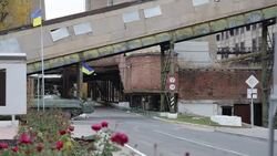 Flowers at Luhansk power station Stock Footage