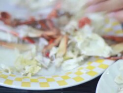 Claw Crab Stock Footage