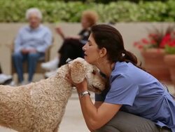 "MS Care giver playing with dog / Laguna Woods, CA, United States" Stock Footage