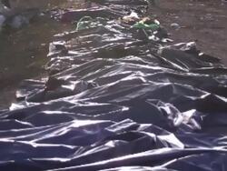 Body Bags Lined up at MH17 Crash Site News Clip