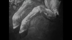 CAN412 ART IN PRAGUE CASTLE News Clip