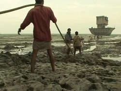 The plight of Bangladeshi ship breakers News Clip
