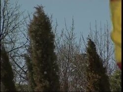 Spain falls silent on 2nd anniv of Madrid bombings Instructional Video