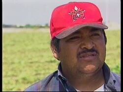 Preview of guest workers programme to be worked on by Bush &amp; Fox News Clip