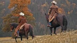 Two herdsman and a herdswoman riding horses in nature Stock Footage