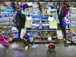 MS T/L DS People roaming and shopping in Noryangjin Fish Market / Seoul, South Korea Stock Footage