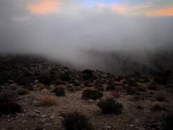 Sunset with Fog at Joshua Tree 4 Stock Footage