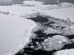 MS PAN View of melting iceberg seawater / Weddell Sea, Antarctica Stock Footage