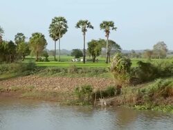 WS POV Shore of Mekong River / Saigon, Vietnam  Stock Footage