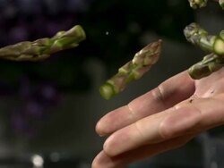 High speed hand releases asparagus tips Stock Footage