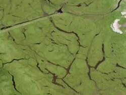 WS AERIAL ZI View of marsh near river / Arhus, Denmark Stock Footage