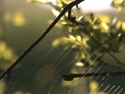 lovely shots of springs in switzerland Stock Footage