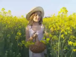 HD STEADY SHOT: Little Girl Gathering Canola Flowers Stock Footage