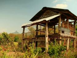 MS Shot of small wooden structure surrounded by green and light brown shrubs / Road from Luang Prabang to Nong Khio, Luang Prabang, Laos Stock Footage