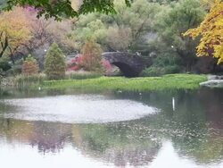 Central Park Pond - HD/30p Stock Footage