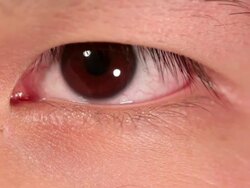 CU Oriental eye iris / Sao Paulo, Brazil Stock Footage