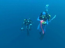 Rebreather divers ascent, with sausage, Costa Rica, Pacific Ocean  Stock Footage