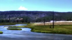 0042 Yellowstone Geyser Stock Footage
