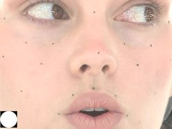 Paul Debevec: Animating a photo-real digital face Instructional Video