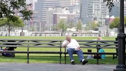 Old man naps on a bench park outdoors Stock Footage