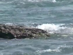 Running water 8-49: HD 1080/60i Stock Footage