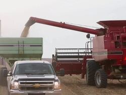 U.S. Farm Earnings Drop 14.6 Percent In Third Quarter AFter A Decline In Output Stock Footage