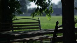 Bench - Stock Footage Stock Footage