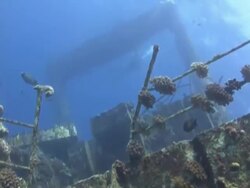 Shipwreck - Giannus D Stock Footage