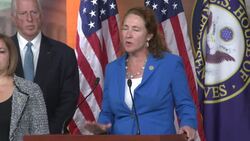 House Dems, GOP continue battle over gun control News Clip