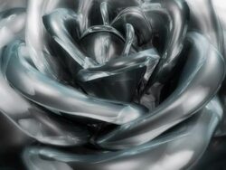 White glass rose Stock Footage