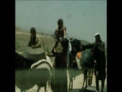 SYND 15-07-71 RENEWED GUERRILLA ACTIVITIES NEAR JERASH IN JORDAN News Clip