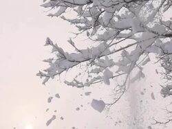 HD SUPER SLOW MO: Snow Falling Off Trees Stock Footage