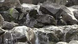 CLEAN : Goodbye Denmark? Faroese seek to let go of Danish grip News Clip