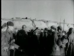 Battle of Stalingrad Stock Footage