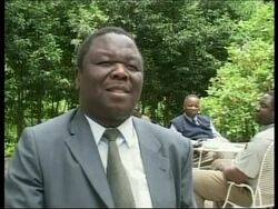 Opposition leader arrested, Mugabe pre-election speech News Clip